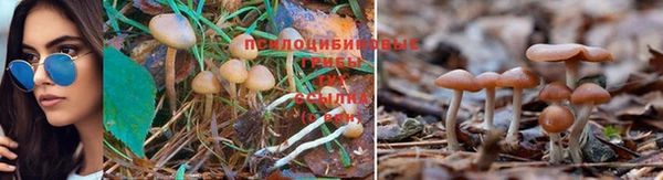 первитин Майский