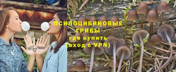 соль ск Магас
