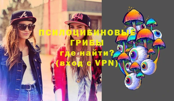 соль ск Магас