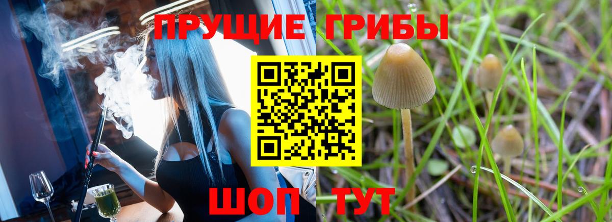 Галлюциногенные грибы Cubensis Лысьва