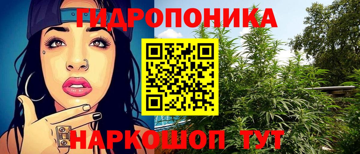 Каннабис планчик Лысьва